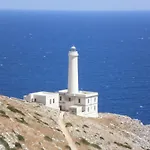 Meraki B&B